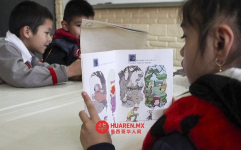 莫雷洛斯州中小学课堂禁用手机