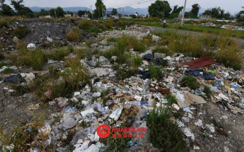 新拉雷多非法出租车司机频遭处罚，2025年累计罚款239次