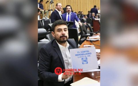 塔德伊驳回将政党附属机构视为“机器人”的说法