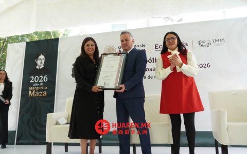 该专利（IMPI）涵盖了17个知名且广为人知的商标。