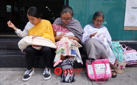 墨西哥国家难民组织（Red Nacional de Refugios）呼吁政府拨款并落实措施，保障妇女安全
