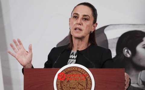 谢因鲍姆对选举改革委员会投票结果不予置评