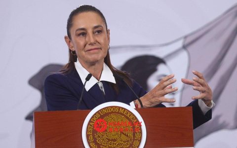 Sheinbaum：提前免职现任领导人是为了防止再设可能出问题的机构
