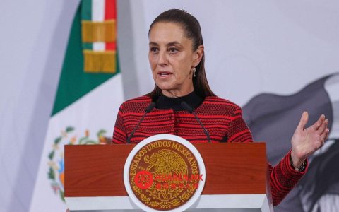 谢因鲍姆向“La Jornada”发起的援古活动捐出2万比索