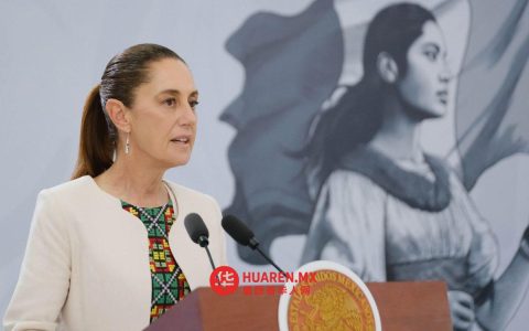 谢因鲍姆要求巴西劳工党明确表态是否支持选举改革