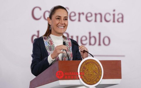 谢因鲍姆提出了全面的措施，以在61个市镇中打击暴力行为。