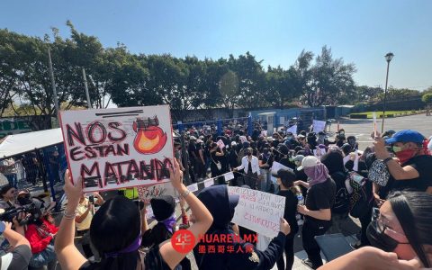 莫雷洛斯州2026年已发生31起女性谋杀案