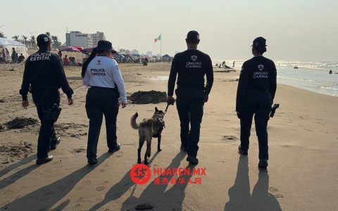 在复活节期间，墨西哥国家安全局（SSP）与海军在韦拉克鲁斯部署了人员和装备
