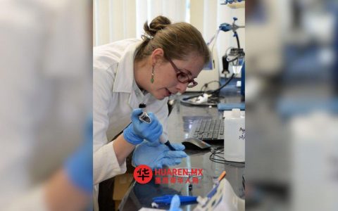 每10名女性中就有3人从事STEM领域工作：联合国开发计划署报告