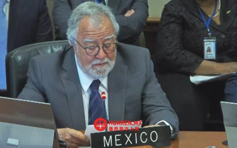 墨西哥在美洲国家组织（OEA）呼吁加强合作，遏制枪支贩运