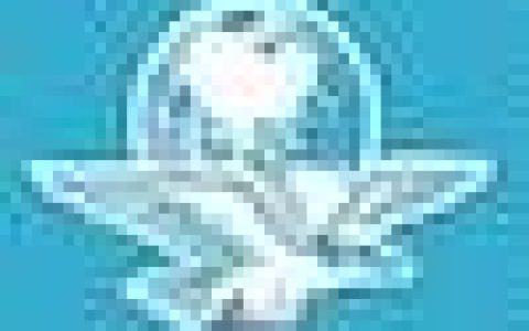 【注意】埃斯库因帕警察暂停服务要求与联邦警察共同巡逻