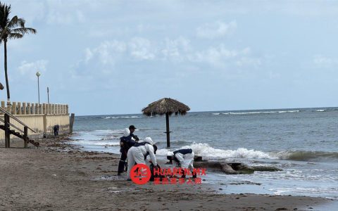 这些被遗弃在墨西哥韦拉克鲁斯（Veracruz）的袋子实为海藻（sargazo）制成，品牌为 Semar，而非此前传闻的“chapopote”材料。