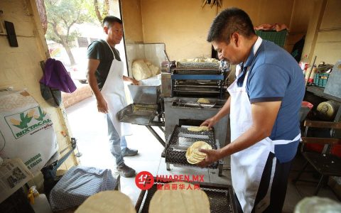 如果玉米饼涨价，数百万家庭将面临“灾难”……墨西哥银行警告