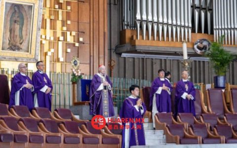 墨西哥总教区：合法堕胎实施19年，无庆祝可言