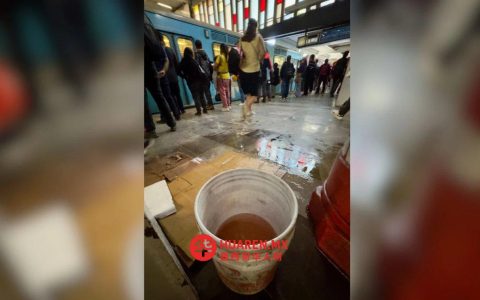 使用立方体和纸箱“搭”出净水方案，塔斯克尼亚居民自建水过滤系统