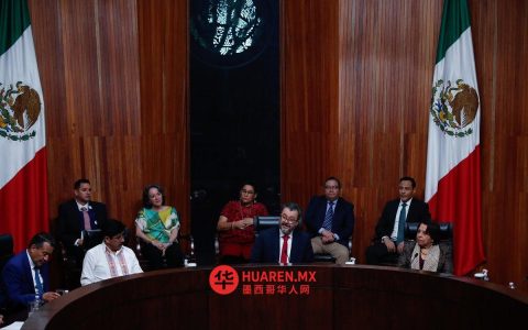 墨西哥联邦选举委员会标准与国家统计研究所一致，确保新政党集会合法合规