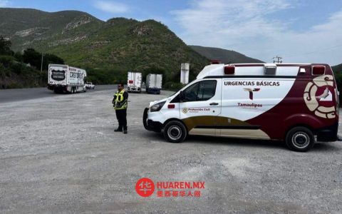 复活节期间，塔毛利帕斯州展出超2500件艺术作品