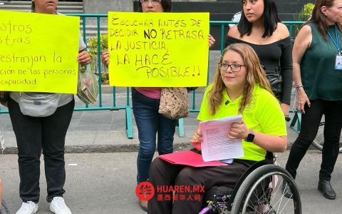 这些规定明确了《残疾人社会包容法》（SCJN）中残疾人参与权的具体内容。