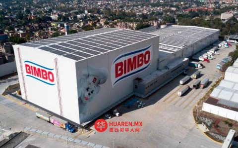 Bimbo集团2026年一季度净利润同比增长32.3%