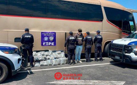 瓜纳华托一青年乘公交携带23公斤大麻被拘