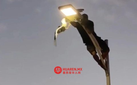 一名年轻人攀上电线杆救被困海鸥，惊险一幕发生在BCS州