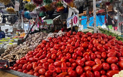 4月上半月墨西哥通胀率降至4.53%