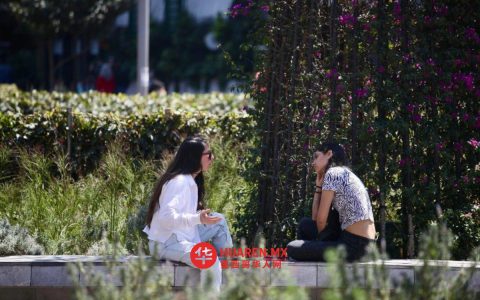 年轻人在墨更愿深造、不生育，长期与家人同住：Inegi数据显示