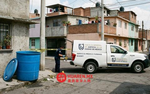 一名年幼男孩在索奇米尔科（Xochimilco）水池中溺亡