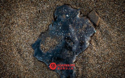 韦拉克鲁斯渔民：泄漏事故持续影响沿海地区