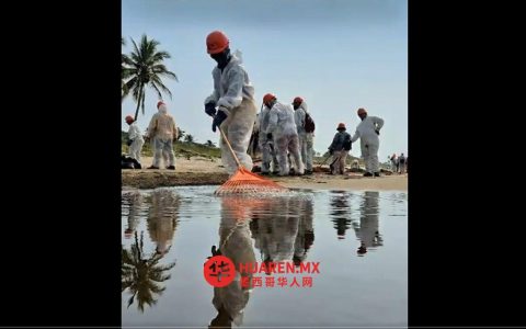墨西哥湾漏油事故已收集889吨油污 清理持续进行