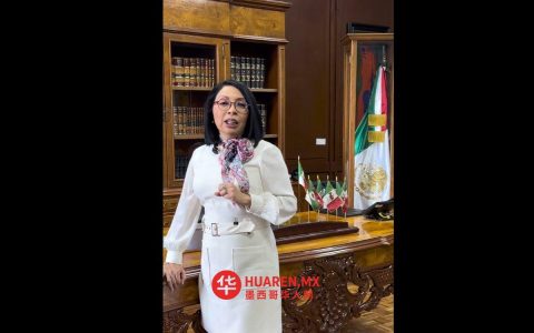 埃斯特拉·达米安辞去总统府法律顾问职务，将参选格雷罗州州长