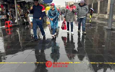 反腐败秘书处设登记机制，规范联邦合同“社会监督员”管理