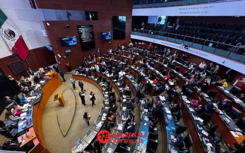 墨西哥参议院通过法案，将杀害女性行为全国定罪