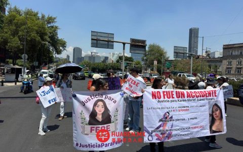 参议院裁定：打击杀害妇女犯罪的法律改革合宪