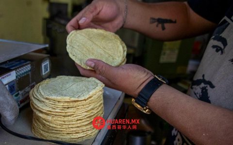 谢因鲍姆：涨玉米饼价毫无道理