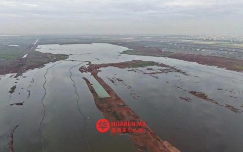 已被取消的NAIM控制塔将纳入特斯科科湖生态公园