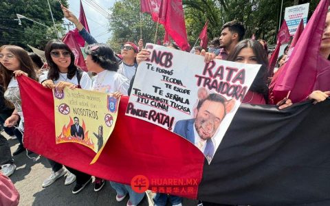 墨西哥国立自治大学（UNAM）回应学生抗议：管理委员会持续推动改革