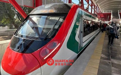 布埃纳维斯塔至阿IFA城际列车线路已基本实现国有化：谢因鲍姆