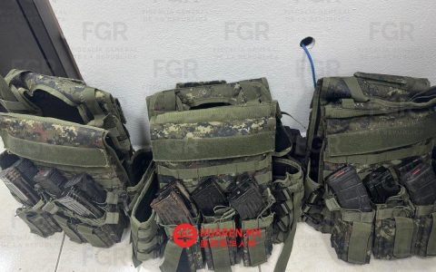 在锡那罗亚州，持枪或携带弹药将构成犯罪，面临刑事起诉