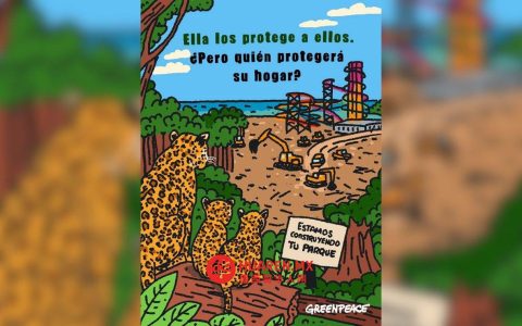 环保人士：Semarnat将决定马哈瓦尔306种物种的存亡