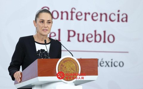 Sheinbaum： “假期预支”仍仅是提议
