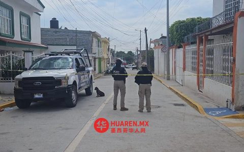 3岁女童在瓜纳华托家门口玩耍时遭杀害