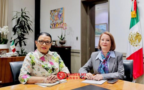 国会将通过“快速通道”审议司法选举推迟至2028年的改革提案