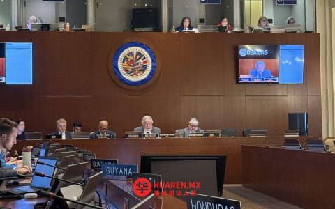 墨西哥在美洲国家组织（OEA）反对武器委员会呼吁各方共担责任