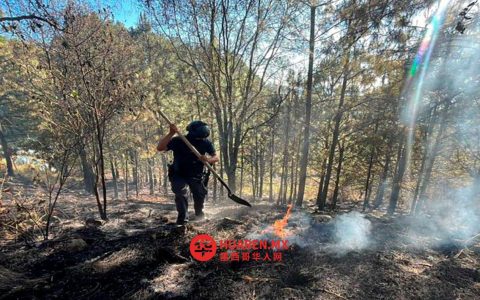 在普埃布拉，警方捣毁五座非法烤炉并查扣摩托锯