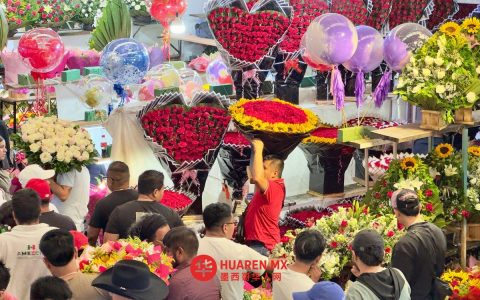 5月10日母亲节：牙买加街头鲜花热销，市民争相选购赠礼