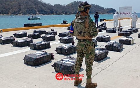 墨西哥国家安全委员会通报：11个地区同步开展打击犯罪行动