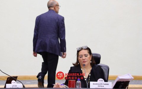 西班牙国家统计局（INE）与墨西哥联邦司法警察局（TEPJF）临阵出手，试图推迟司法选举
