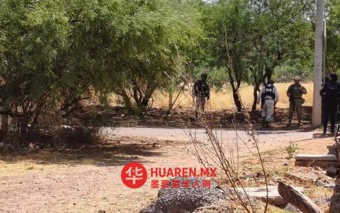 阿瓜斯卡连特斯：特佩萨拉发现七具尸体，六人确认为萨卡特卡斯州籍