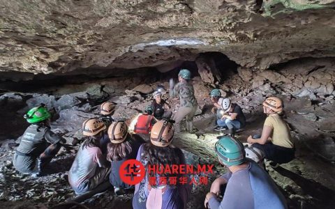 在坎昆，社区委员会联手守护天然水池“cenotes”